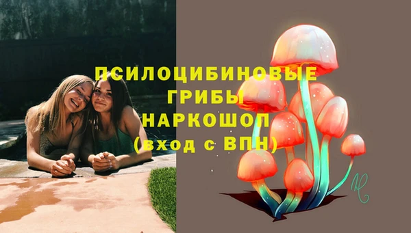прущие крисы Беломорск