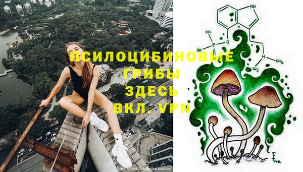 метадон Белокуриха
