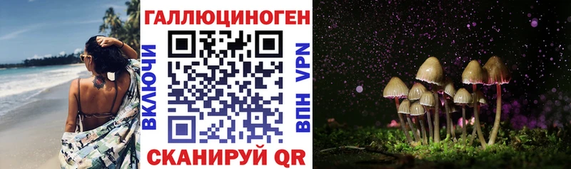 МЕГА ссылки  Чистополь  Галлюциногенные грибы Psilocybe 